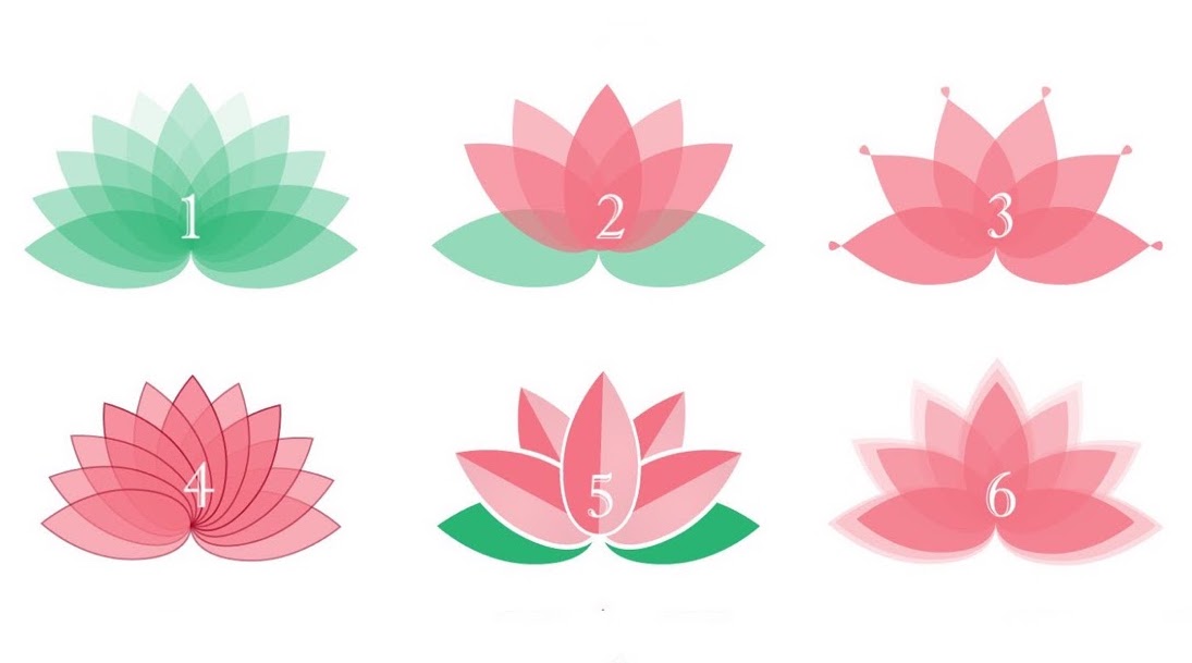 Επιλέξτε ένα λουλούδι και δείτε τι αποκαλύπτει για τη ζωή σας…