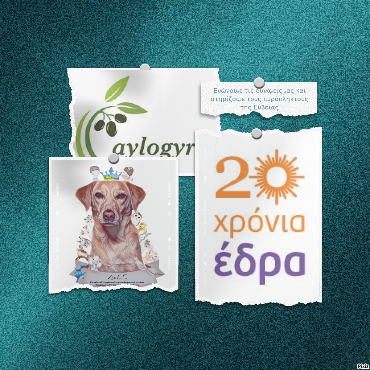 Aylogyrosnews: Ενώνουμε τις δυνάμεις μας και στηρίζουμε τους πυρόπληκτους της Εύβοιας 